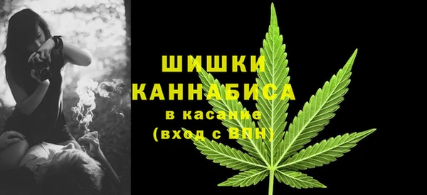 ПСИЛОЦИБИНОВЫЕ ГРИБЫ Верхнеуральск