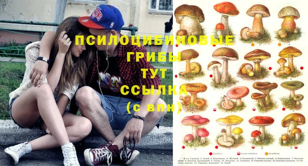 гидропоника Верхний Тагил